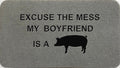 Excuse The Mess My Boyfriends A Pig