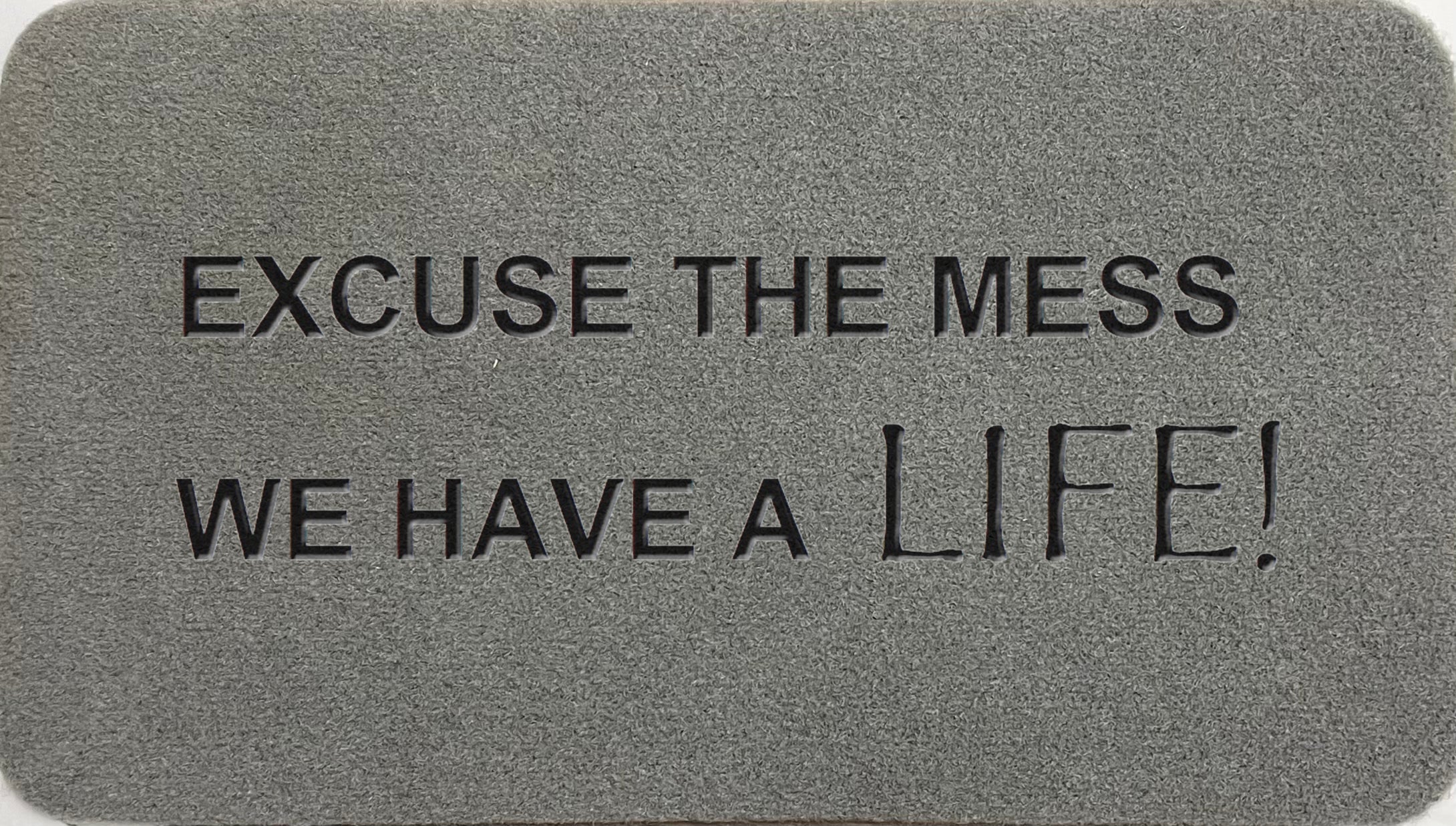 Excuse The Mess We Have A Life