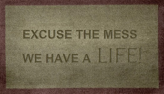 Excuse The Mess We Have A Life