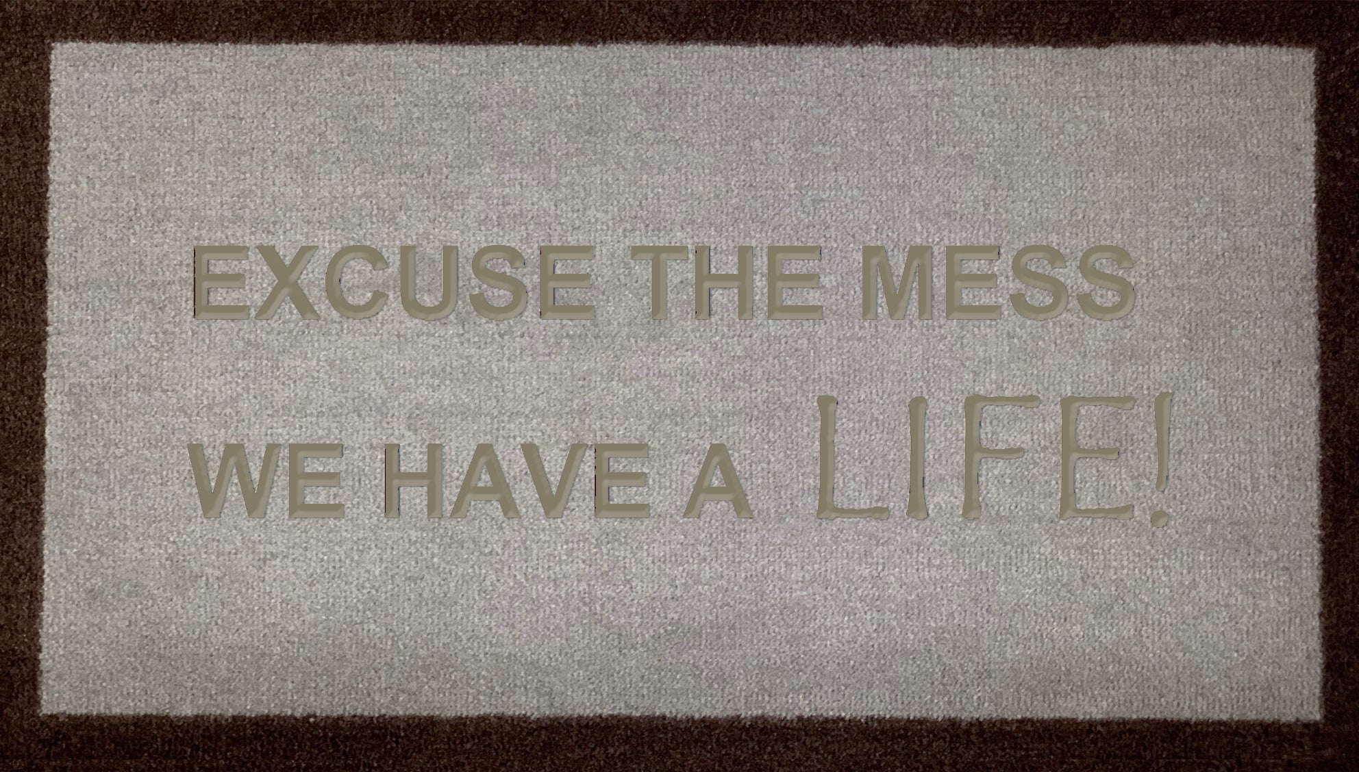 Excuse The Mess We Have A Life