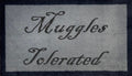Muggles Tolerated